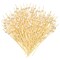 150 Pack White Pearl Toothpicks for Food, Decorative Bamboo Cocktail Picks for Appetizers (4.7 in)